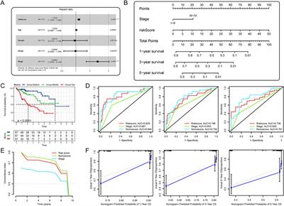 Identification of two heterogeneous subtypes of hepatocellular carcinoma with distinct pathway activities and clinical outcomes based on gene set variation analysis